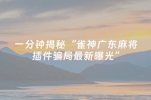 一分钟揭秘“雀神广东麻将插件骗局最新曝光”（究竟是不是有挂)