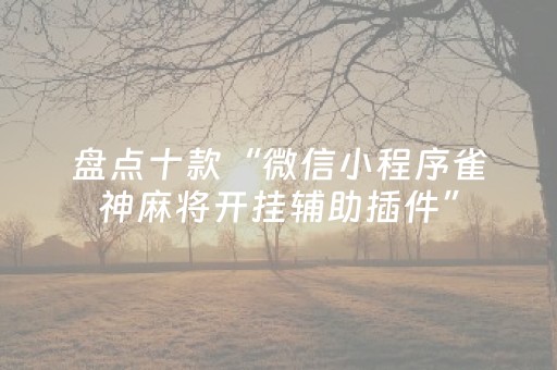 盘点十款“微信小程序雀神麻将开挂辅助插件”（胜负规律拿好牌)