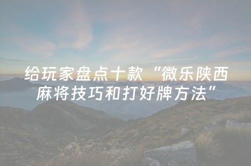 给玩家盘点十款“微乐陕西麻将技巧和打好牌方法”（小程序辅助软件)