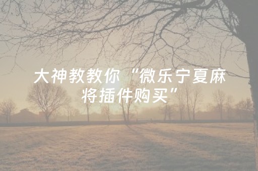 大神教教你“微乐宁夏麻将插件购买”（助赢神器购买)