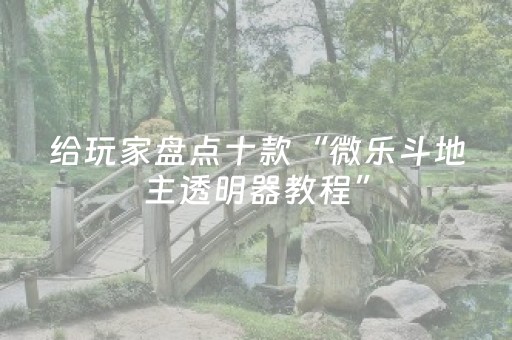给玩家盘点十款“微乐斗地主透明器教程”（免费专用神器)