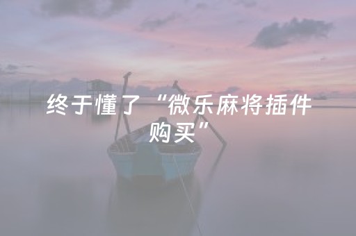 终于懂了“微乐麻将插件购买”（怎么能得到好牌)