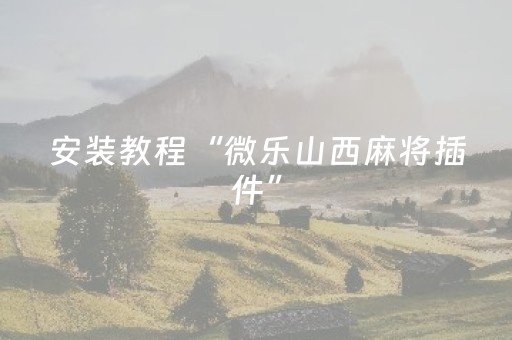 安装教程“微乐山西麻将插件”（小程序辅助软件)