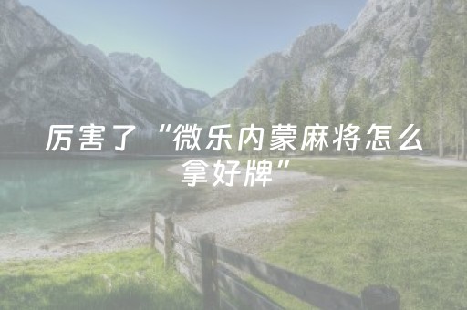 厉害了“微乐内蒙麻将怎么拿好牌”（确实有插件吗)