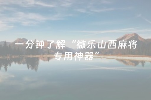 一分钟了解“微乐山西麻将专用神器”（外辅工具)