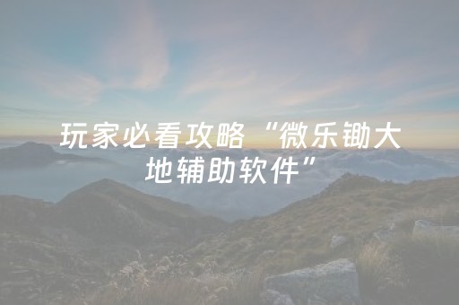 玩家必看攻略“微乐锄大地辅助软件”（小程序控牌器)