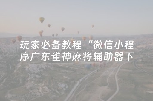 玩家必备教程“微信小程序广东雀神麻将辅助器下载”（开挂辅助插件)