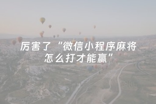 实测教程“手机三公作弊（专用辅牌神器免安装）