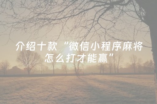 介绍十款“微信小程序麻将怎么打才能赢”（怎么能让牌好一点)