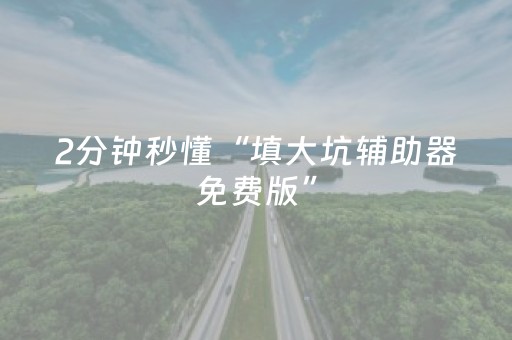 2分钟秒懂“填大坑辅助器免费版”（辅助器通用版)
