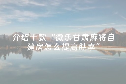 介绍十款“微乐甘肃麻将自建房怎么提高胜率”（软挂神器)