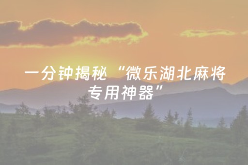 一分钟揭秘“微乐湖北麻将专用神器”（辅助器通用版)