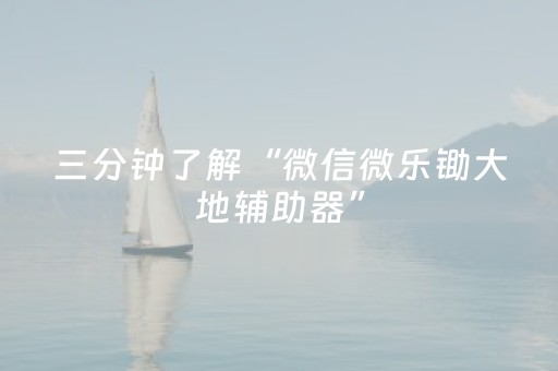 三分钟了解“微信微乐锄大地辅助器”（控牌神器)