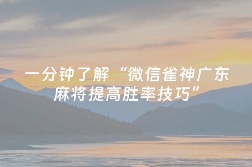 一分钟了解“微信雀神广东麻将提高胜率技巧”（插件开挂免费AI)