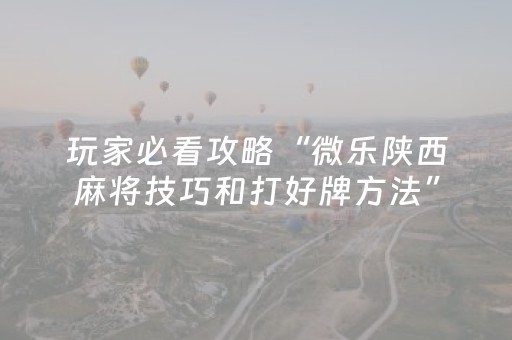 玩家必看攻略“微乐陕西麻将技巧和打好牌方法”（软挂神器)
