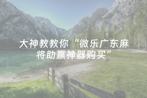 大神教教你“微乐广东麻将助赢神器购买”（攻略插件)