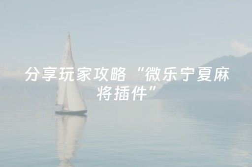 分享玩家攻略“微乐宁夏麻将插件”（透明挂辅助器)