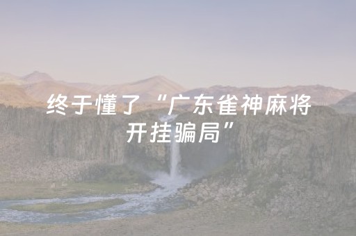 玩家实测“手机跑得快有外挂吗（专用辅牌神器免安装）
