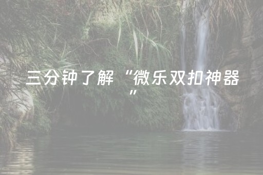 三分钟了解“微乐双扣神器”（助攻神器)