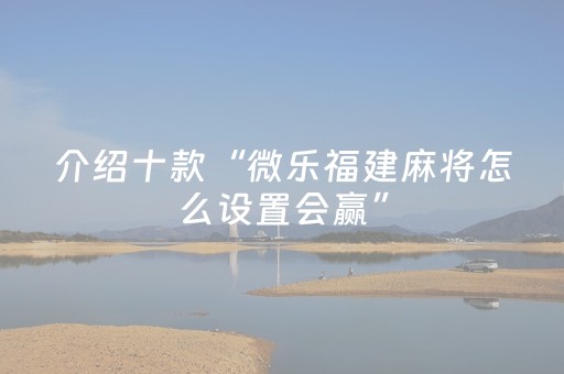 介绍十款“微乐福建麻将怎么设置会赢”（小程序辅助软件)