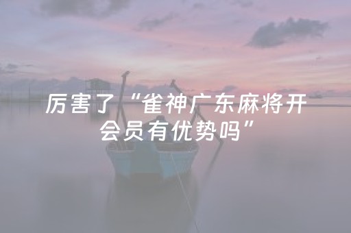 厉害了“雀神广东麻将开会员有优势吗”（小程序控牌器)