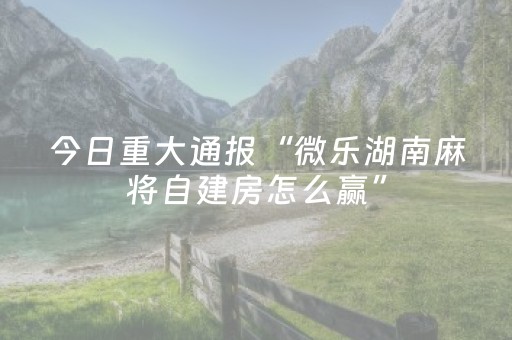 今日重大通报“微乐湖南麻将自建房怎么赢”（专用神器)