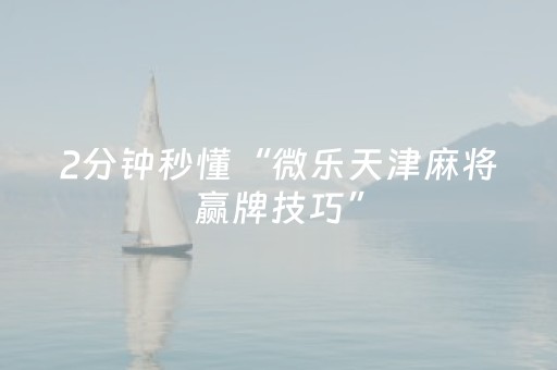 教程辅助“小程序麻将插件（助赢神器通用版）