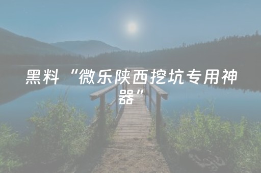 黑料“微乐陕西挖坑专用神器”（有什么诀窍)