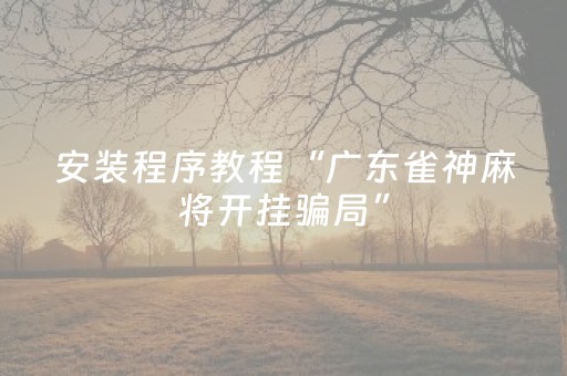 安装程序教程“广东雀神麻将开挂骗局”（软挂神器)