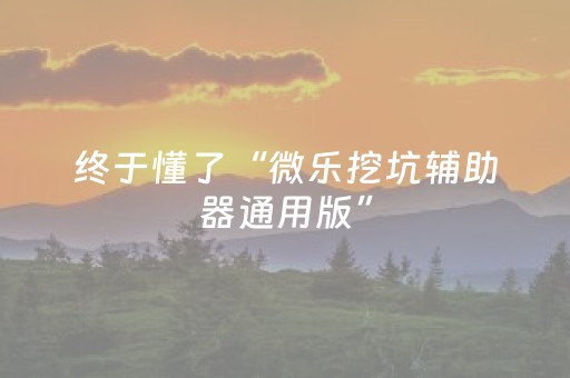 终于懂了“微乐挖坑辅助器通用版”（输赢有什么规律)