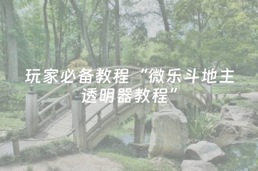 玩家必备教程“微乐斗地主透明器教程”（辅助挂发牌规律)