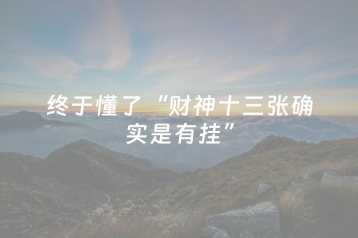 终于懂了“财神十三张确实是有挂”（辅牌器插件购买)