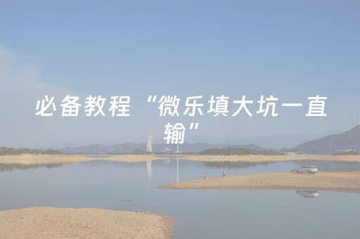 必备教程“微乐填大坑一直输”（外辅工具)