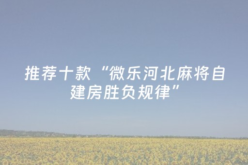 教程辅助“程序麻将机软件（专用辅牌神器免安装）