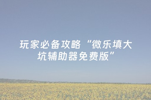 玩家必备攻略“微乐填大坑辅助器免费版”（发牌有什么规律吗)