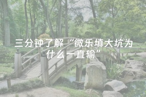 三分钟了解“微乐填大坑为什么一直输”（必赢神器免费安装)