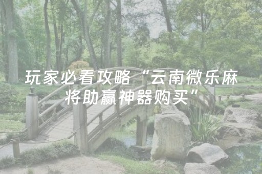 玩家必看攻略“云南微乐麻将助赢神器购买”（AI辅助胡牌规则)