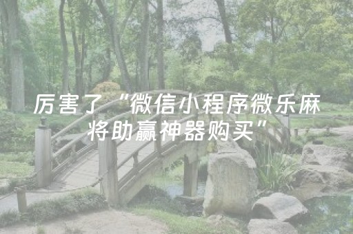厉害了“微信小程序微乐麻将助赢神器购买”（做弊器软件下载)