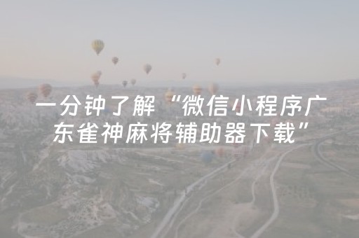 教程辅助“微乐安徽麻将有挂吗（专用辅牌神器免安装）