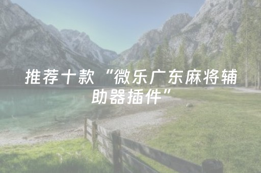 推荐十款“微乐广东麻将辅助器插件”（提高胜率技巧)