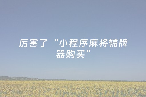 大神教教你“微信小程序海南麻将助赢神器”（透明挂辅助器)
