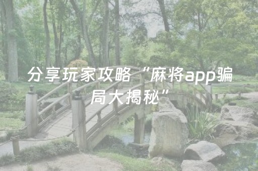 分享玩家攻略“麻将app骗局大揭秘”（外辅工具)