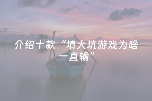 介绍十款“填大坑游戏为啥一直输”（辅助器下载)