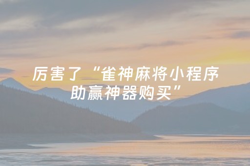 厉害了“雀神麻将小程序助赢神器购买”（小程序辅助软件)