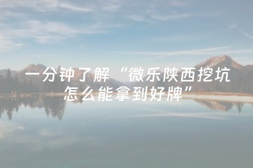 3分钟学会“闲逸跑得快怎么赢（专用辅牌神器免安装）