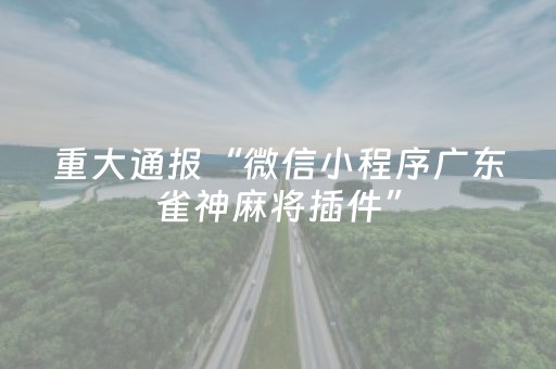 重大通报“微信小程序广东雀神麻将插件”（装挂怎么安装)