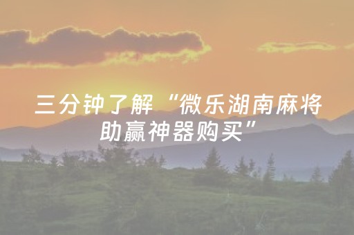 实测分享“雀神麻将软挂神器（专用辅牌神器免安装）
