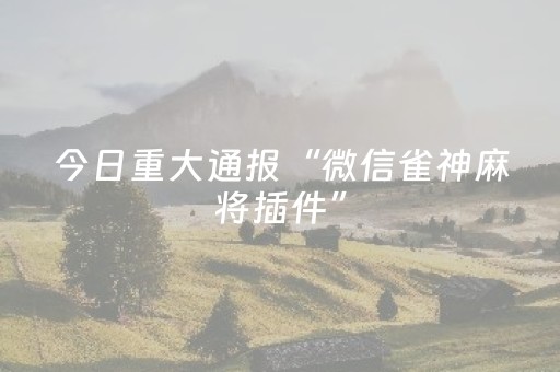 今日重大通报“微信雀神麻将插件”（必赢神器)