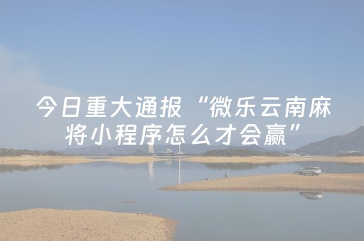 今日重大通报“微乐云南麻将小程序怎么才会赢”（胜率到哪调)