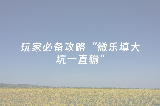 玩家必备攻略“微乐填大坑一直输”（会员会提高胜率吗)